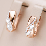Boucles d'oreilles Elégantes avec Zirconia en Or et Argent